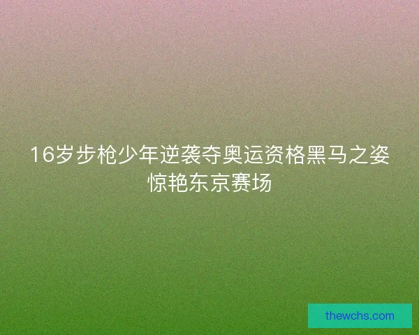 16岁步枪少年逆袭夺奥运资格黑马之姿惊艳东京赛场 16岁步枪少年逆袭夺奥运资格黑马之姿惊艳东京赛场